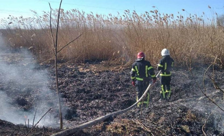 В Измаиле опять горело Лебяжье озеро