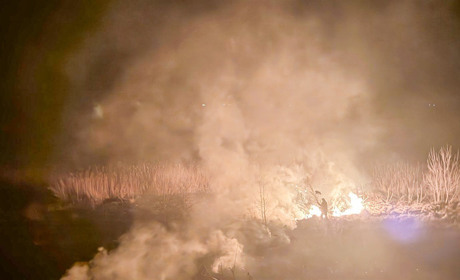 9 пожеж впродовж 9 днів: що та де горіло на Кагарличчині та Ржищівщині