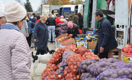 Чи проводити сільськогосподарський ярмарок навесні: опитування від Біляївської міськради, долучіться