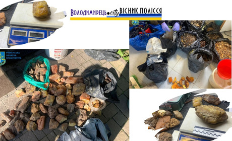 У Нобельському нацпарку впіймали бурштинщиків – вилучено півтора центнера бурштину