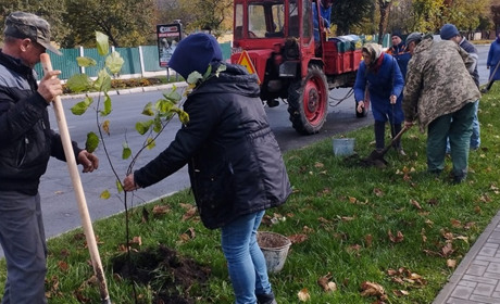 Новини воєнного часу. Старокостянтинівщина. Віримо у Перемогу, садимо дерева, змагання проводимо