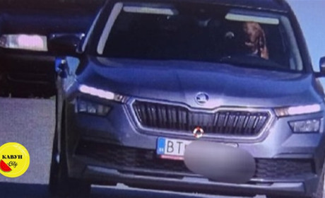У Словаччині помітили пса за кермом херсонської автівки?
