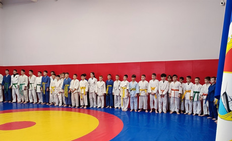 В Палаці спорту Ізмаїла відбулися змагання з дзюдо серед дітей (відео)