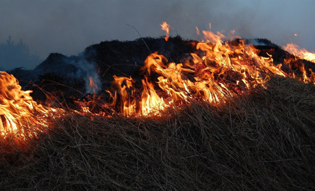 У двох селах Сватівського району були пожежі: Що і де горіло