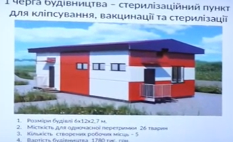Від пункту стерилізації – до притулку для безхатніх тварин