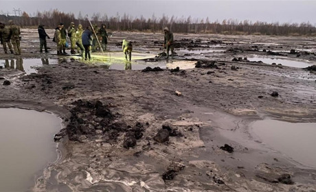 Спіймали на «клондайку»: на Сарненщині незаконно видобували бурштин