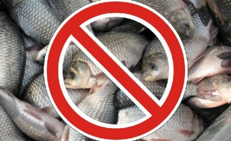 До уваги рибалок Білопільщини! Де з першого листопада не можна буде рибалити?