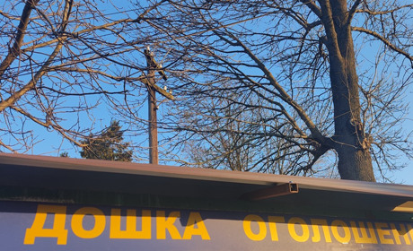 Дошка оголошень: квітень 2024 року