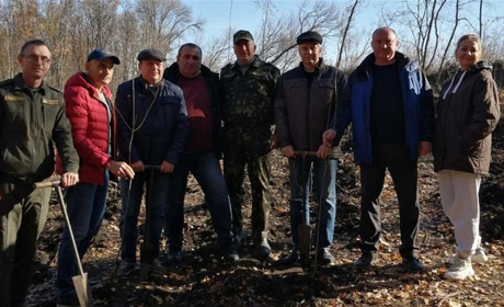 На території Річок висадили клени та ясени