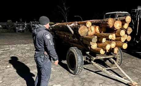 Чотирьох чоловіків із Сарненського району викрили на перевезенні деревини
