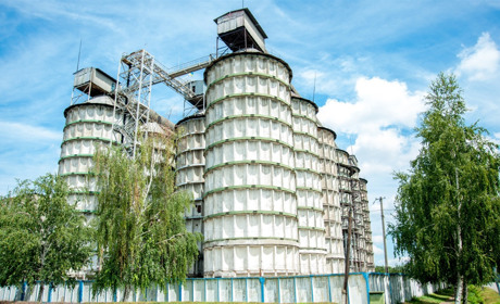 «Сватівська олія» знайшла двох нових партнерів на бізнес-форумі у Білорусі