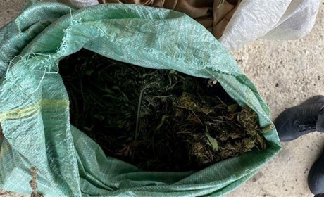 На Черкащині двом наркозбувачам канабісу повідомили про підозру