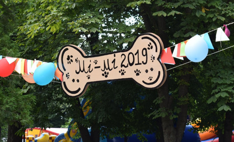 Котики, песики, гризуни і кролик: як пройшов фестиваль "Мі-Мі – 2019"