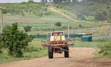 Кавунів буде більше: як пройшла посівна на звільненій Херсонщині