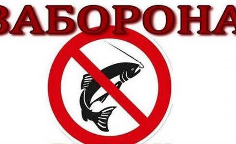 З 1 листопада вводиться заборона вилову водних біоресурсів на зимувальних ямах