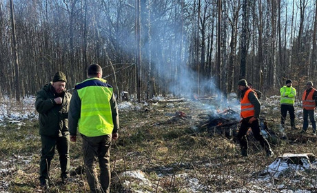 Спалювали порубкові рештки в лісі: на Звягельщині за 2 дні зафіксували 3 порушення пожежної безпеки