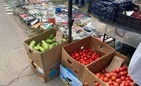 Осінній ярмарок смаків: скільки коштують сезонні покупки для всієї родини. Ціни на овочі та фрукти