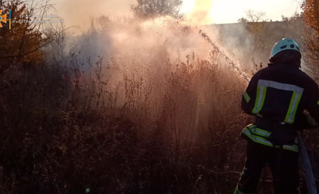 У Сватовому сталася пожежа на площі понад два гектари: подробиці