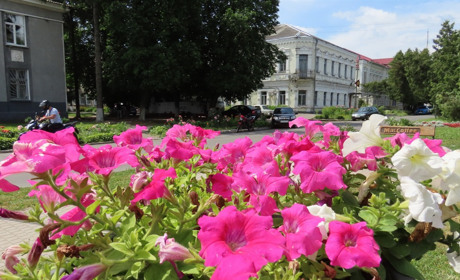 Цього тижня золотонісців чекають дощі