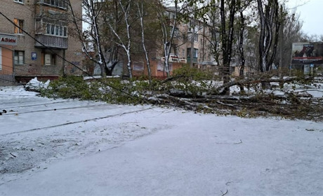 Негода на Херсонщині: знеструмлені населені пункти та обмеження руху на дорогах