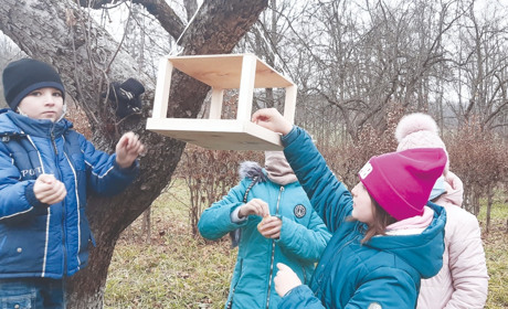 Лісівники зробити годівнички і розповідали дітям, як і чим підгодовувати птахів взимку