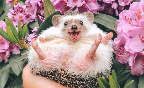 Що день прийдешній нам готує? Якої погоди чекати у найближчі дні?