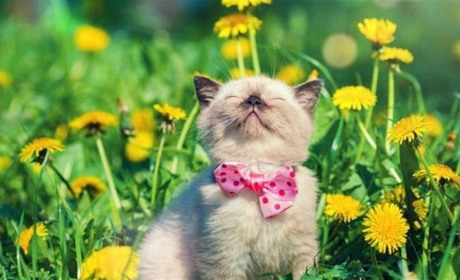 На Україну насувається спека