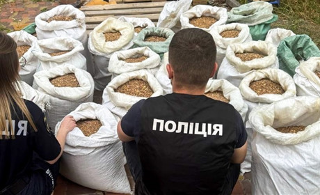 На Рівненщині викрили підпільний цех з обробки бурштину — підозрюють шістьох жителів Сарненщини