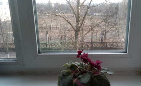 Лютий буде лагідним