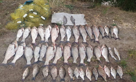 На Дунае на горячем поймали браконьера с уловом стоимостью 150 тысяч гривен