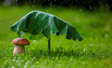 Що день прийдешній нам готує? З якою погодою до нас прийде серпень?