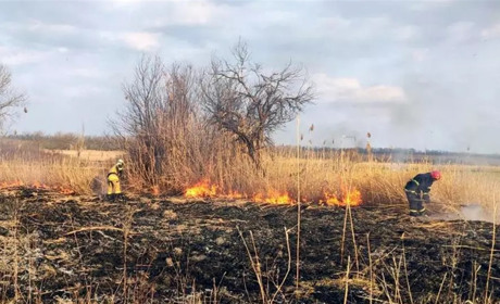 У селі Кардаші горіла суха трава: опіки отримав місцевий чоловік (ОНОВЛЕНО)