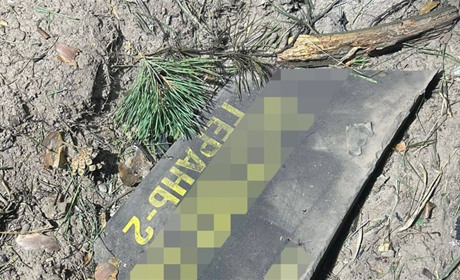 Через велику нічну атаку росіян пошкоджені насадження лісництва на Житомирщині