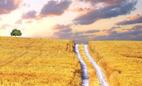 «Соляна дорога» залучить 100 тисяч туристів