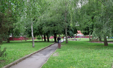 У Городку парк і стадіон планують обробити від кліщів