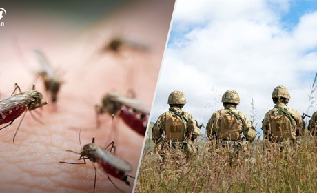 Волонтерський пункт "Соловейки" збирає засоби від комарів для військових