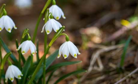 Погода у Старокостянтинові на 4-10 березня: яким буде початок весни