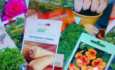 Правила сусідства на грядці. Городоччанки радять як поєднувати рослини