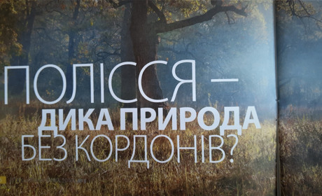 Володимиреччина стане учасником міжнародного проекту по створенню біорезервату