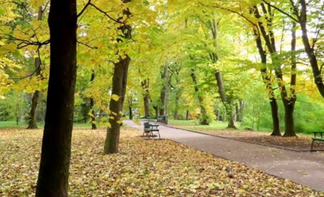 Радіаційний стан навколо Хмельницької АЕС за минулий тиждень