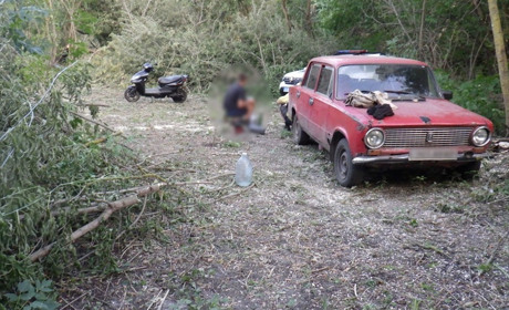 В селі Мороча поліцейські викрили двох осіб у незаконній вирубці дерев