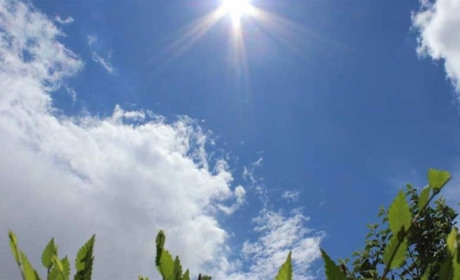 Погода в Кагарлику та Ржищеві на тиждень - з 6 по 12 червня