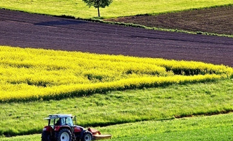 На Смілянщині з незаконного володіння повернуто земельні ділянки вартістю майже пів мільйона гривень