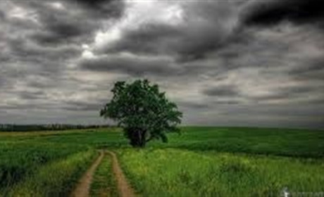 Якою буде погода у першій половині наступного тижня?