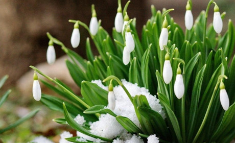 Погода переменчива как настроение: в регионе ожидаются заморозки