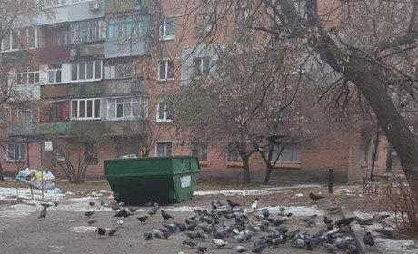 Про роботу Берестинського ЖРЕП — що виконувало підприємство та чим було забезпечене у 2024 році