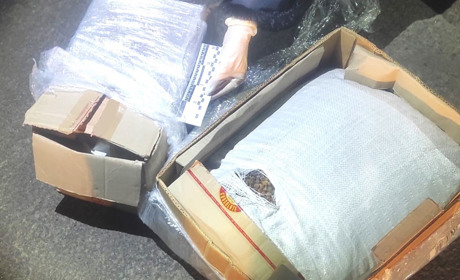 У варашанина поліцейські вилучили майже сорок кілограмів бурштину