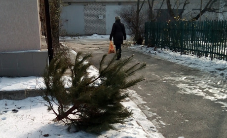 В Україну йде потепління до +11°