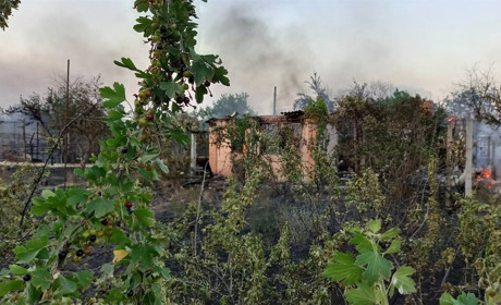 "Місто-сад" без черешні: як у Новій Каховці починається літо