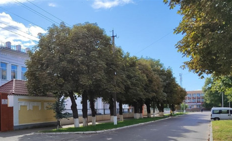 Синоптики прогнозують сонячну погоду і прохолодні ранки